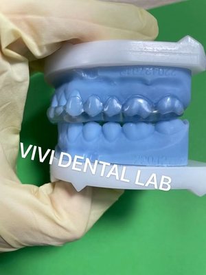Dentiste stable de type Michigan, étreinte semi-dur / dur, parfait ajustement.